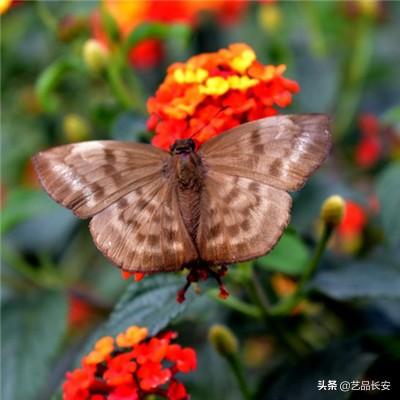 神魔齐天4399最新版下载