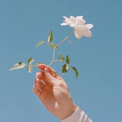 舰无虚发暗星测试版下载